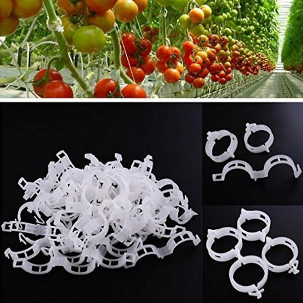 Tuteurs Tomates Clips Pour Plantes Grimpantes PYJLBX - Lot De 300 - Pour Tomates, Concombres, Rosiers - Réutilisables Tuteurs Tomates Concombres