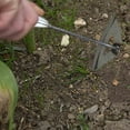 thumbnail image 3 of Garden Tool​ Triangle Head Cultivator with Steel Tines, Long Metal Shaft Compact Soil Loosening Row Crop Weeding, Vegetable Garden Care, 3 of 4