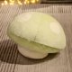 thumbnail image 1 of Stuffed Mushroom Head Pillow Sofa Decor Cushion Plush Toy Creative Plants Toy Children's Plushie Doll kawaii Gift for Kids BabyGreen50cm Deng Xun unisex, 1 of 2