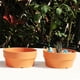 thumbnail image 4 of Ounissouiy La maceta redonda de imitación de cerámica firme y transpirable permite que las plantas respiren mientras les proporciona Jardín y Patio 18 CM, 4 of 6
