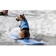 thumbnail image 2 of HAOCOO Dog Life Jacket Vest Saver Safety Swimsuit Preserver with Reflective Stripes/Adjustable Belt Dogs, Blue Bone, XS, 2 of 7