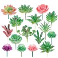 thumbnail image 4 of 16PCS Lifelike Succulent Plant Mini Faux Succulent Decor with Artificial Moss, 4 of 9