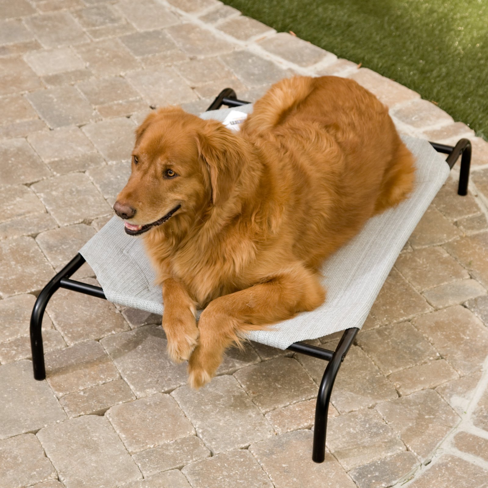 Coolaroo Original Elevated Pet Bed Extra Large Grey photo 5