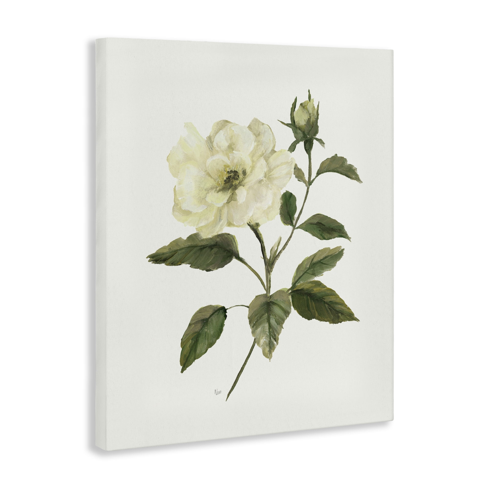 Stupell Industries Ivory Rose Bloom With Green Foliage Canvas Wall Art, design by Nan