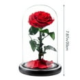 Clearance！ Artificial flowers Colorful LightUp Rose In Dome