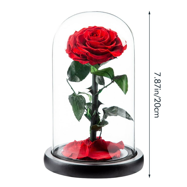 Dainzusyful Gifts For Mom Forever Rose Roses Gift For Her Birthday Gifts  For Women Colorful Artificial Flower Rose Gift Light Up Rose In A Glass  Dome