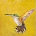 thumbnail image 2 of Art.com Sweet Hummingbird II Stretched Canvas Print Wall Art by Mehmet Altug, 24" x 24", 2 of 4