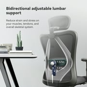 Sihoo M18 Mesh Ergonomic Office Chair with Adjustable Lumbar Support, High Back, Black