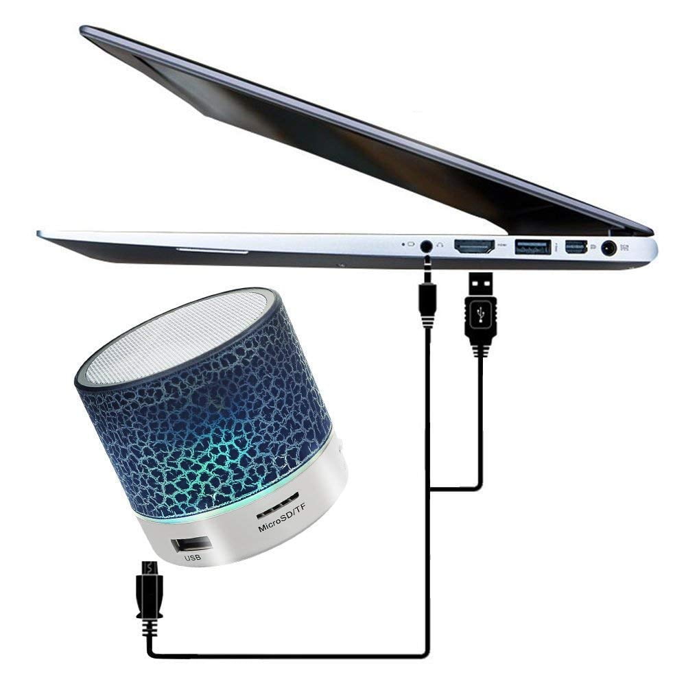 mini speaker with aux input