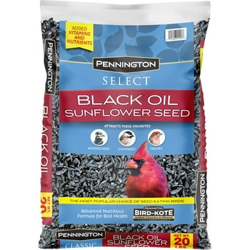 Pennington Select Black Oil Sunflower Seed Wild Bird Feed, 20 lb. Bag