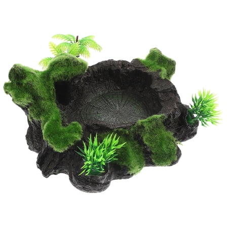 HEMOTON  Pet Feeding Bowl Reptile Water Dish Large Accessories Terrarium Animals