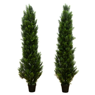 Nearly Natural 5ft. Artificial Topiary Cedar Tree UV Resistant (Indoor/Outdoor) - Set of 2