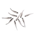 thumbnail image 1 of Tiddler Minnow Artificial, 1 of 10
