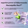 thumbnail image 7 of Lemme Metabolism Capsules, Clinically-Studied Akkermansia MucT® with Chromium & Black Ginger Extract to Support Metabolic Health, Gut Barrier Integrity, 30 Count, 7 of 7
