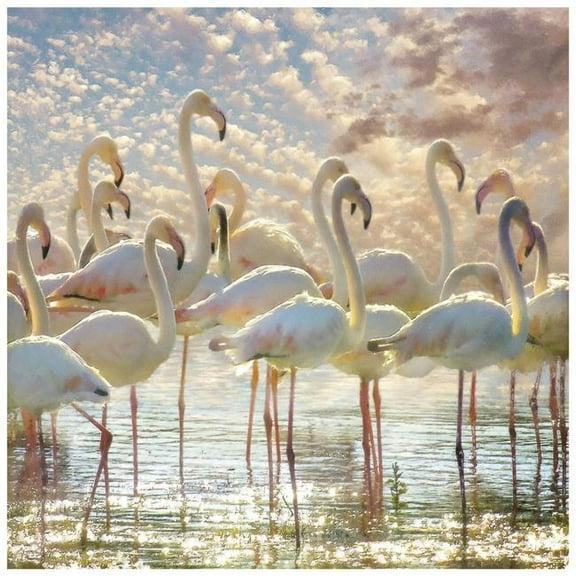 Flamingo Flair Frameless Free Floating Tempered Glass Panel Graphic Wall Art , 38" x 38"