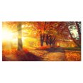 thumbnail image 2 of Autumnal Trees in Sunrays - Large Landscape Canvas Art Print, 2 of 3