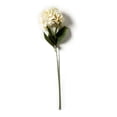 thumbnail image 5 of Ashland Cream Hydrangea Stem, 12 Pack, 5 of 5