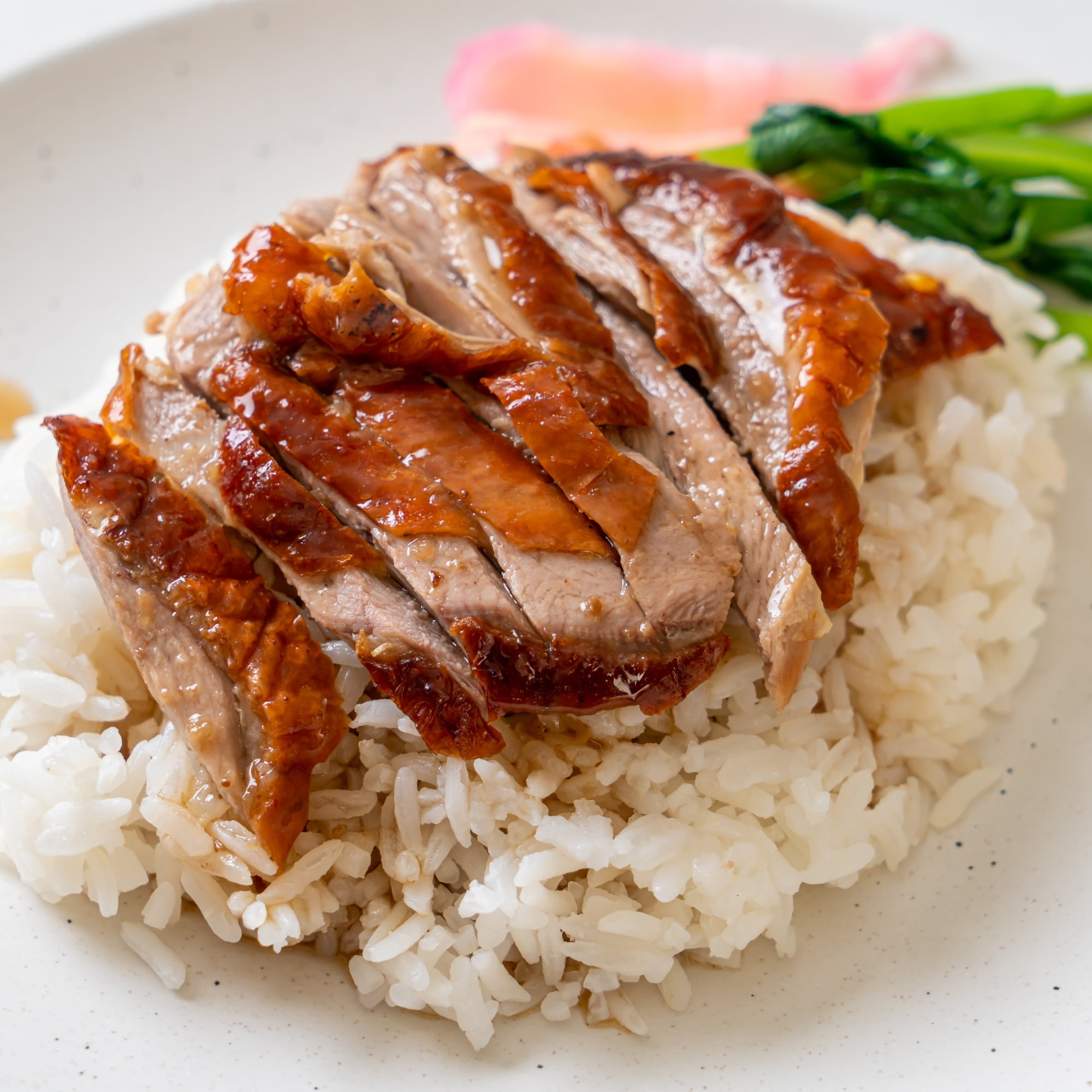 Today Gourmet Fully Cooked Roasted Half Duck (6) 12-14oz. Portions (5.25lbs. Avg. Net Weight)