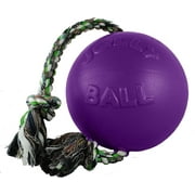 Jolly Pets Romp-n-Roll 4.5 inch Purple Rubber Ball with Rope for Dogs