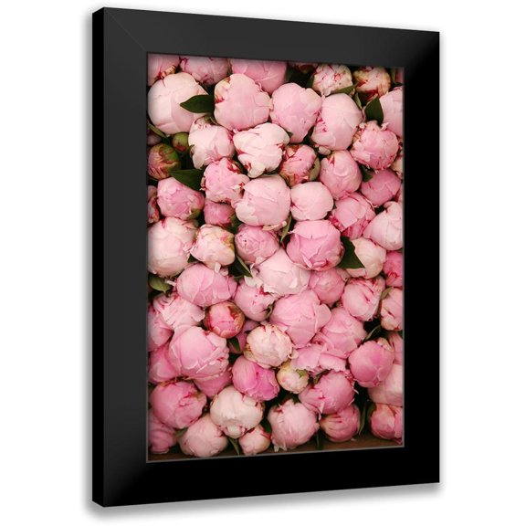 Okula, Carina 11x14 Black Modern Framed Museum Art Print Titled - Peony 2