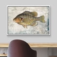 thumbnail image 3 of wall26 Framed Canvas Print Wall Art Redear Sunfish on Granite Background Marine Life Animals Digital Art Realism Nautical Scenic Colorful Ultra for Living Room, Bedroom, Office - 24"x36" Wh, 3 of 5