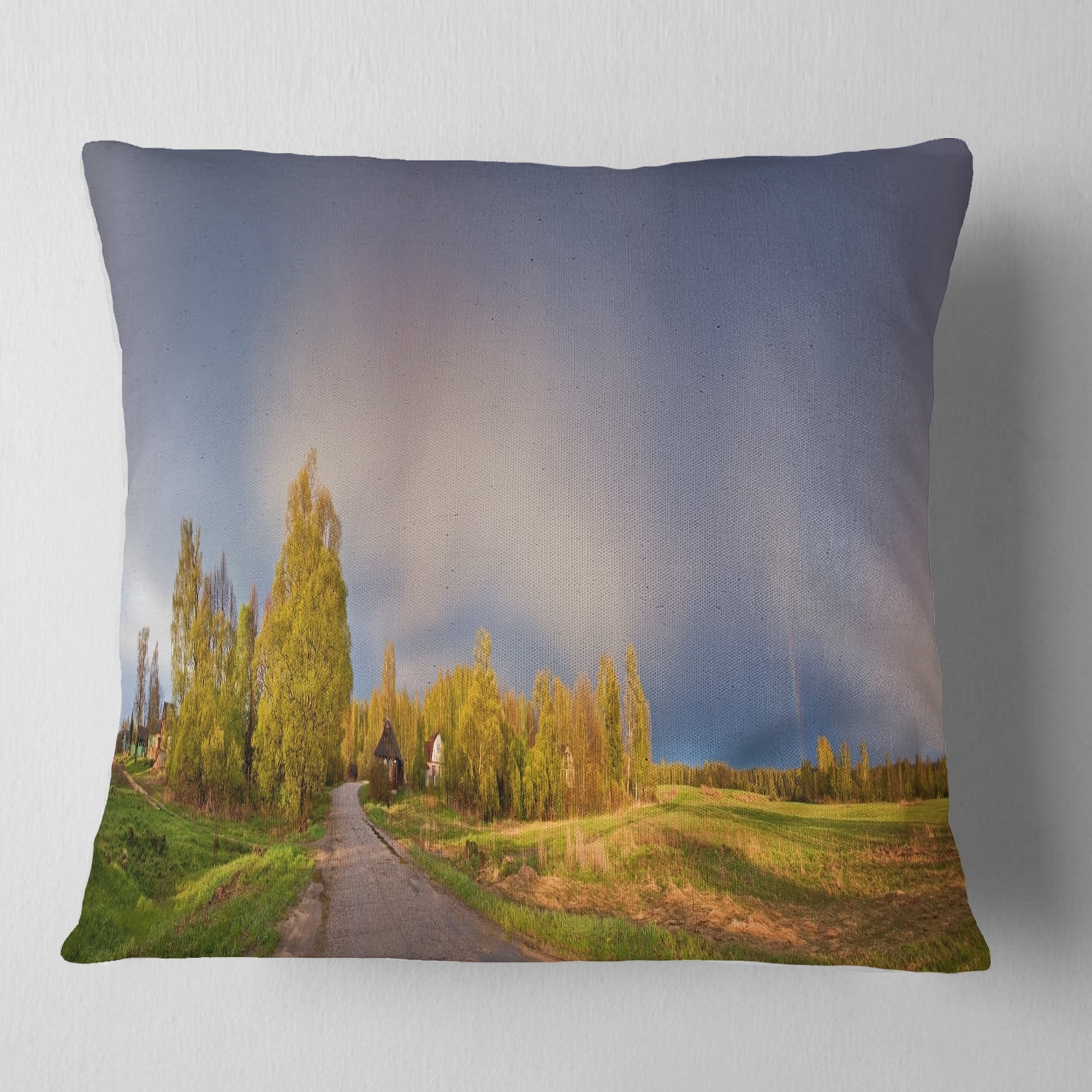 Designart Green Field Under Rainbow Sky - Landscape Photography Throw Pillow - 16x16