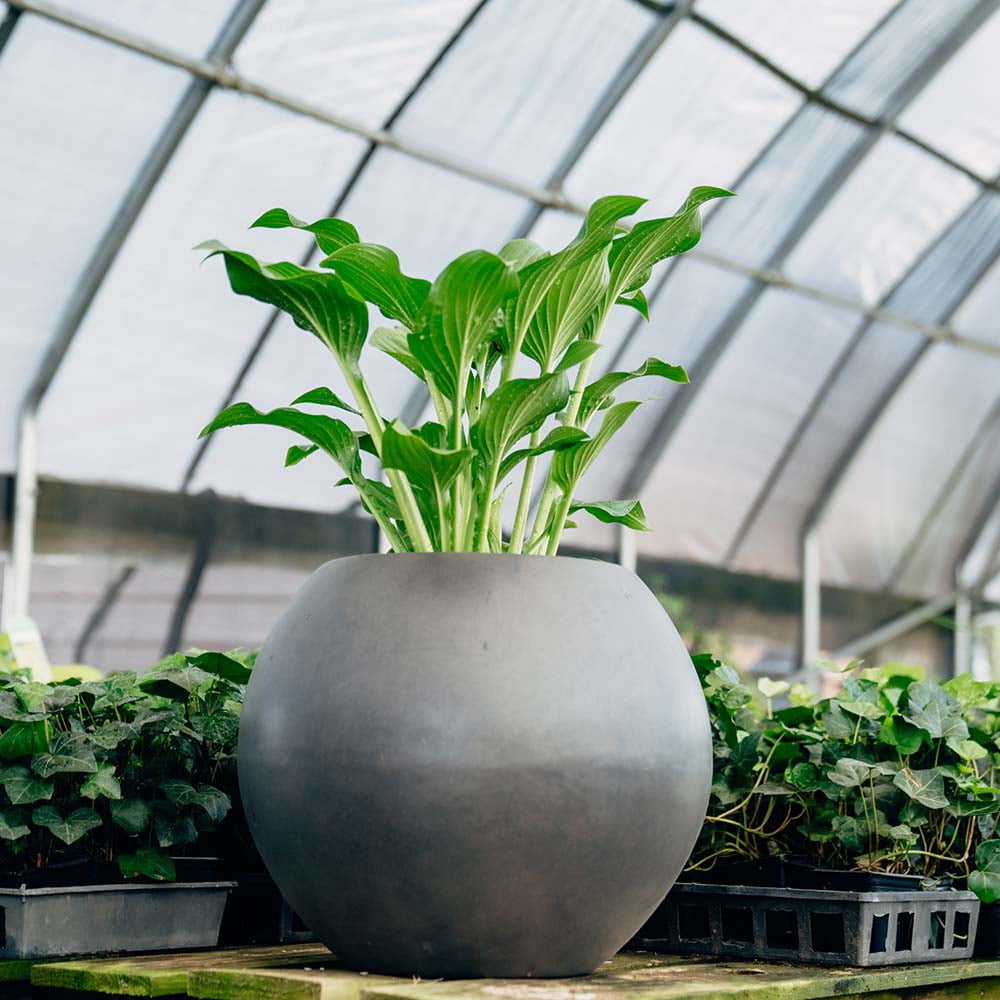 Ash & Ember 16" Round Sphere Charcoal Planter, 14 Gallon Lightweight Fiberstone Composite
