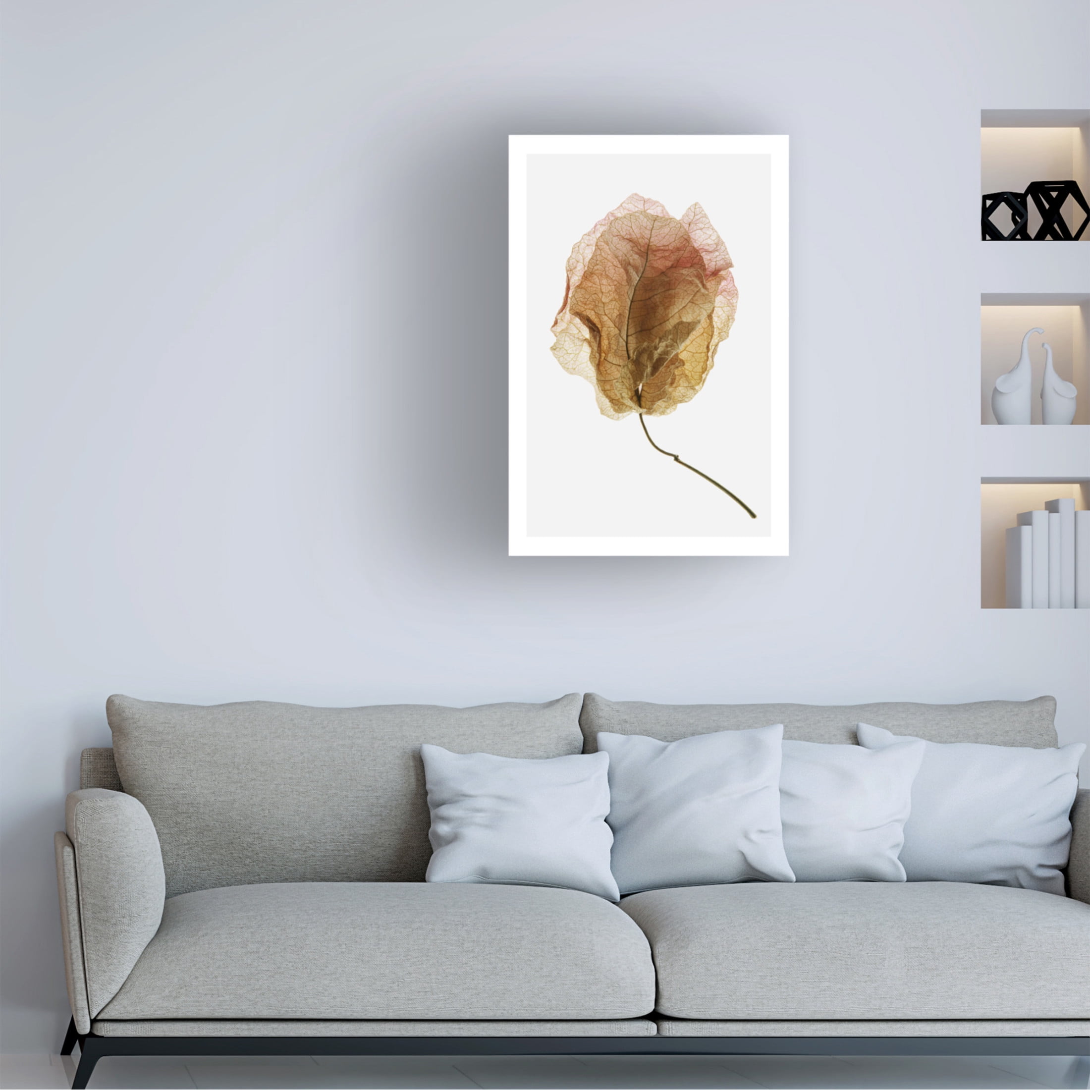 Trademark Fine Art Shot by Clint Bougainvillea Study No6 Canvas Wall Art
