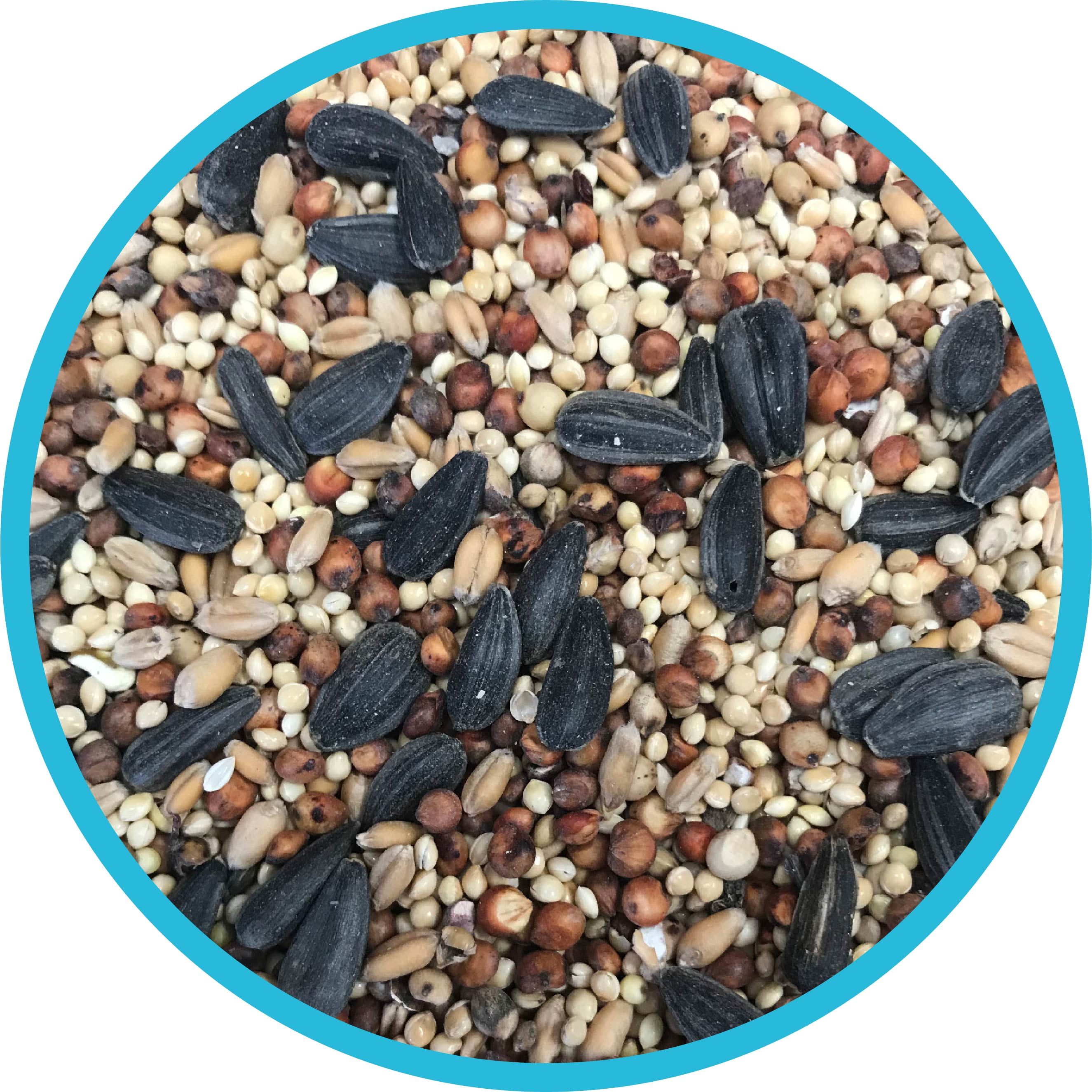 Pennington Classic Wild Bird Feed and Seed, 50 lb. Bag, 1 Pack, Dry