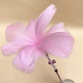 thumbnail image 2 of 2 Pcs Cat Plume Teaser Interactif Belle Chat Jouet Interactif Chat Teaser Baguette, 2 of 10