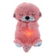 thumbnail image 1 of Juguete musical iluminado de nutria, juguete de canto realista, calma las emociones de los niños, 1 of 9