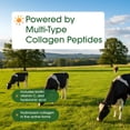 thumbnail image 2 of NatureBell Multi Collagen Protein Powder - 600g - Hydrolyzed Collagen Peptides - For Skin, Hair, Nail, Joint & Bone Health Support - Grass-Fed & Keto-Friendly - Unflavored - 54 Servings, 2 of 8