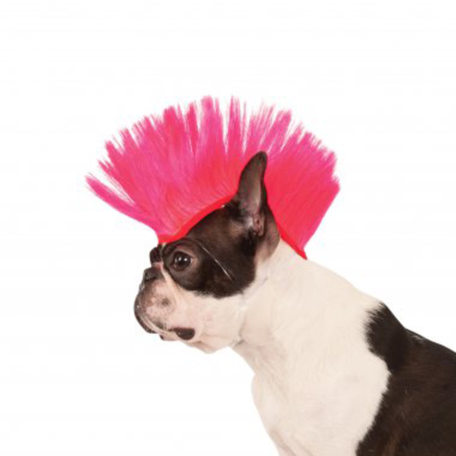 Dog mohawk wig Outlet