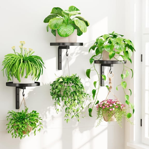 ROSYNEY 3 Pack Wall Plant Holder, Metal Hanging Plant Shelves with Hooks, Floating Window Plant Stand for Indoor Outdoor Plants, Black (Pots/Plants Not Included)