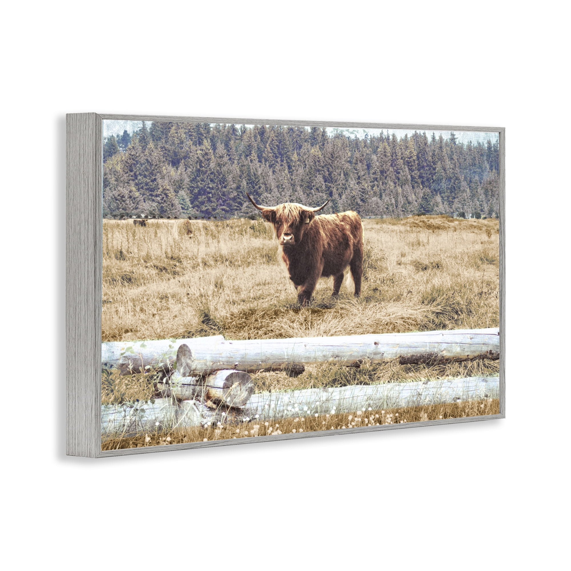 Stupell Industries Country Cattle with Fence Animals & Insects Photography Gray Framed Art Print Wall Art, 18 x 12