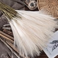 thumbnail image 6 of 1pc Faux Pampas Grass Tall 19.29"/ 1.61FT, Non-Shedding Large Artificial Fluffy Reed Fake Flower Feather Arrangement for Floor Vase Filler Boho Farmhouse Home Wedding Decor, 6 of 8