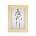 thumbnail image 1 of Marco de Foto Unbranded Esqueleto Humano Boceto 5x7 pulgadas de Madera, 1 of 4