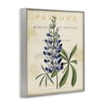 thumbnail image 2 of Stupell Industries Cottage Natural Botany Lupine Gray Framed Giclee Art, 11 x 14, by Susan Arnot, 2 of 8