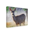 thumbnail image 2 of Trademark Fine Art 'Spring Doe' Canvas Art by Chris Vest, 2 of 4