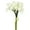 White, variant on Vickerman 14'' Artificial Orange Calla Lily. Eight stems per pack