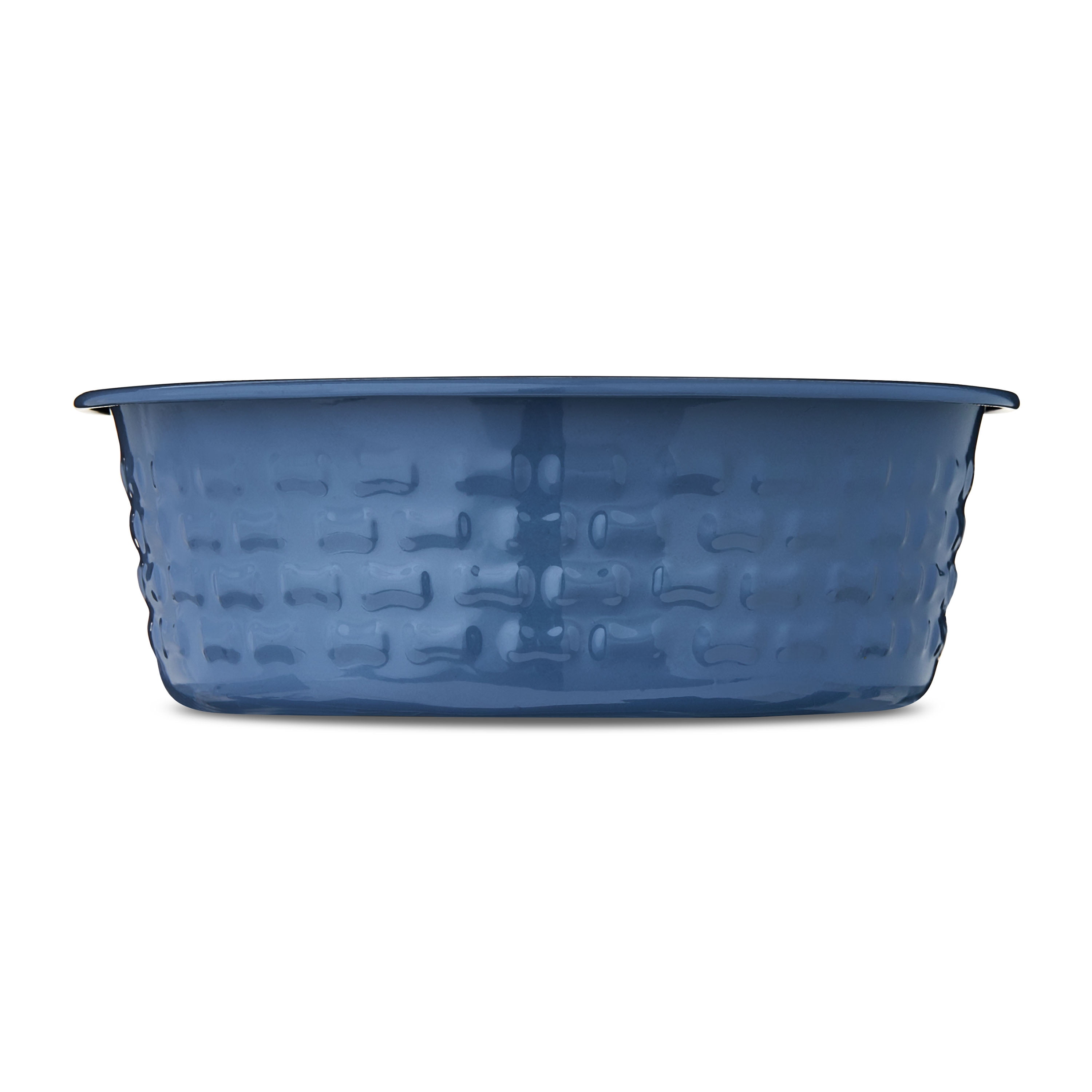 Vibrant Life Medium Stainless Steel Embossed Dog Bowl, Blue Bones