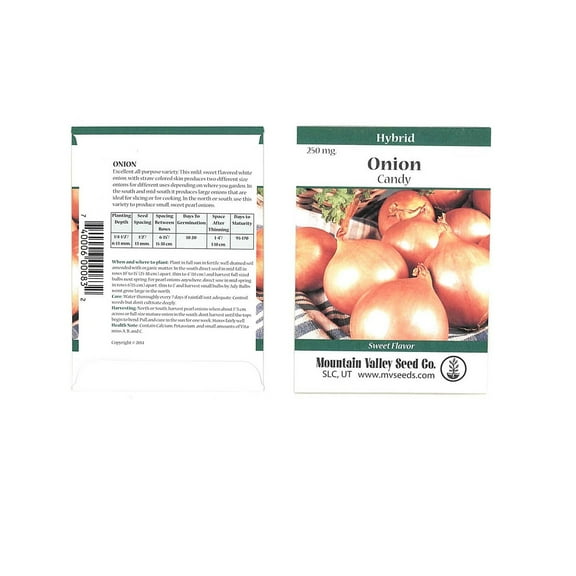 Candy Hybrid Onion Garden Seeds - 250 Mg Packet - Non-GMO, Vegetable Gardening Seeds