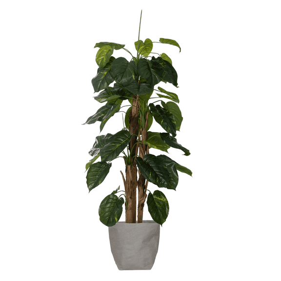 Vintage Home Artificial Faux 66" Tall Scindapsus Aureus And Banana Skin With Eco-Paper Planter With Eco Planter