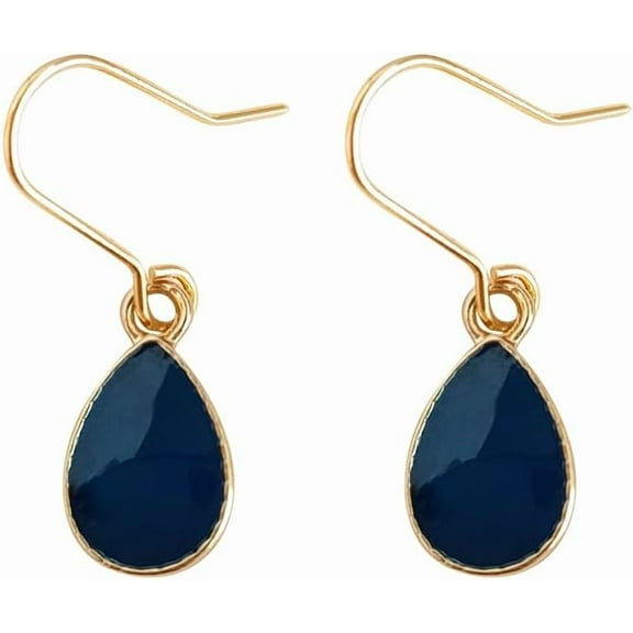 Navy Blue Earrings Blue Teardrop Earrings for Women Minimalist Waterdrop Dangle Earring Exquisite Gold Oval Hook Earring Jewelry