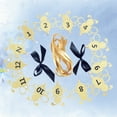 thumbnail image 6 of Dytern Birthday Photo Clip Clamp Baby's First Anniversary Shape Birthday Party Banner (Golden), 6 of 10