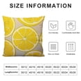 thumbnail image 5 of SHANXI Pillow Cover Lemon Fruit Yellow Summer Double-Sided Design  Home Decor for Sofa Livingroom Couch Bed Decorative Throw Pillow Case Gift 24x24in, 5 of 5