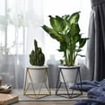 thumbnail image 3 of Worgeous  Plastic Table Placing Vase Black Vases Plant Stand Flower Pot, 3 of 8