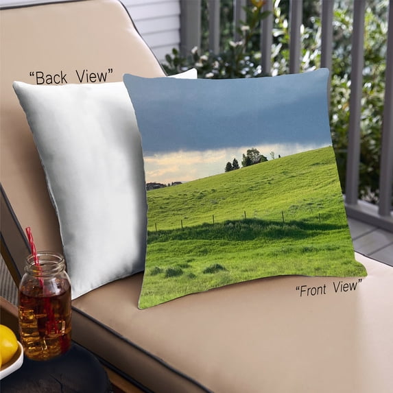Ahgly Company State Montana Outdoor Throw Pillow, 18 inch by 18 inch