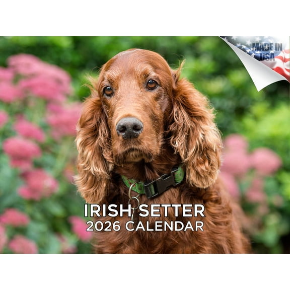 2025 2026 Irish Setter Calendar - Dog Breed Monthly Wall Calendar - 12 x 18 Open - Thick No-Bleed Paper - Giftable - Made in USA
