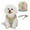 Khaki, variant on Dogs Adjustable Harness and Leash Set,Step in Dog Harness and Leash Vest Harness for Small and Medium Dogs